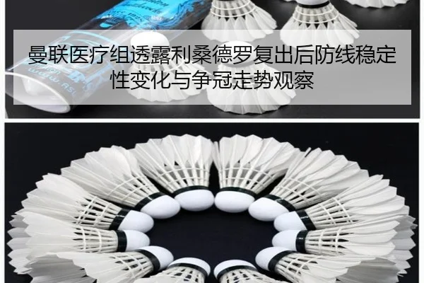 曼联医疗组透露利桑德罗复出后防线稳定性变化与争冠走势观察